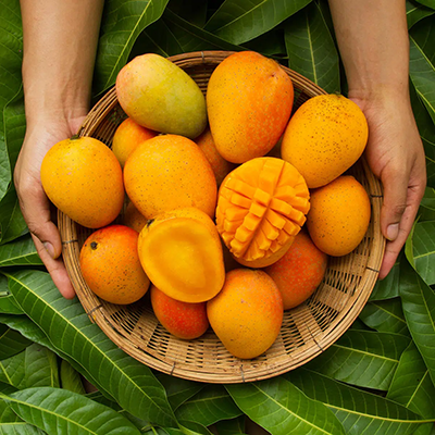 Best butter for skin, mango butter